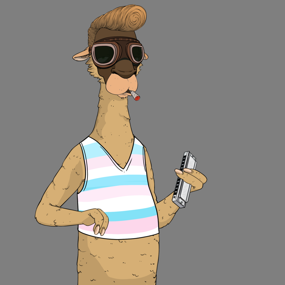 Jammin' Alpacas #1055
