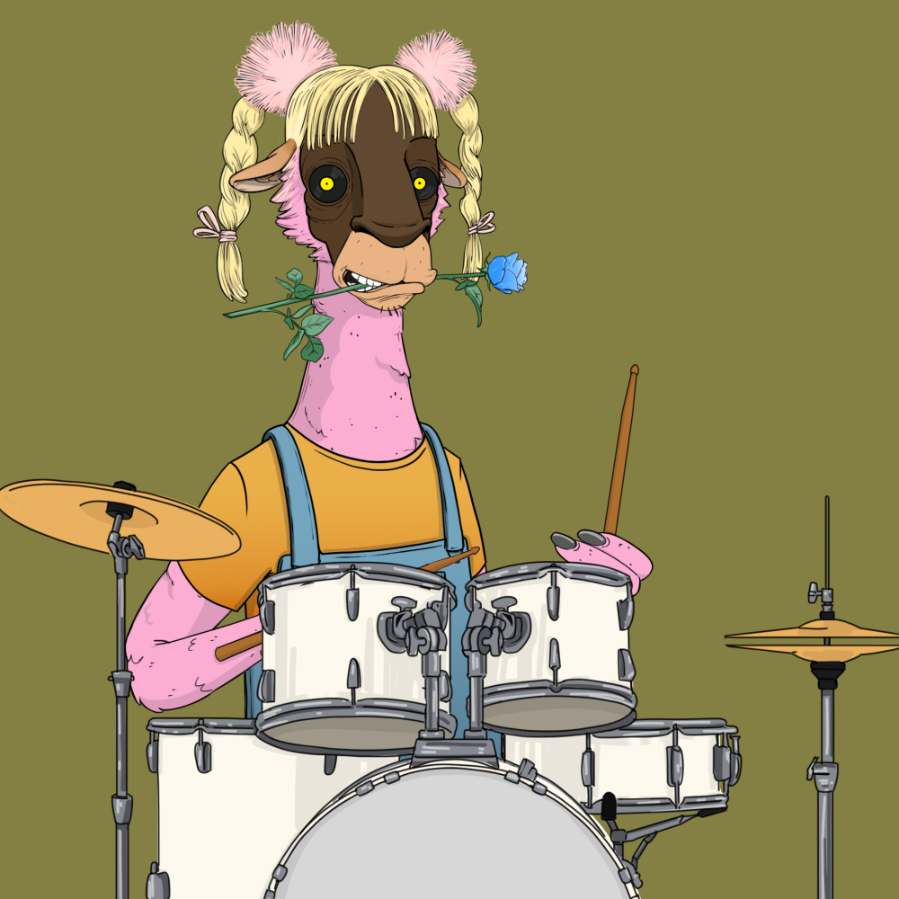 Jammin' Alpacas #1080