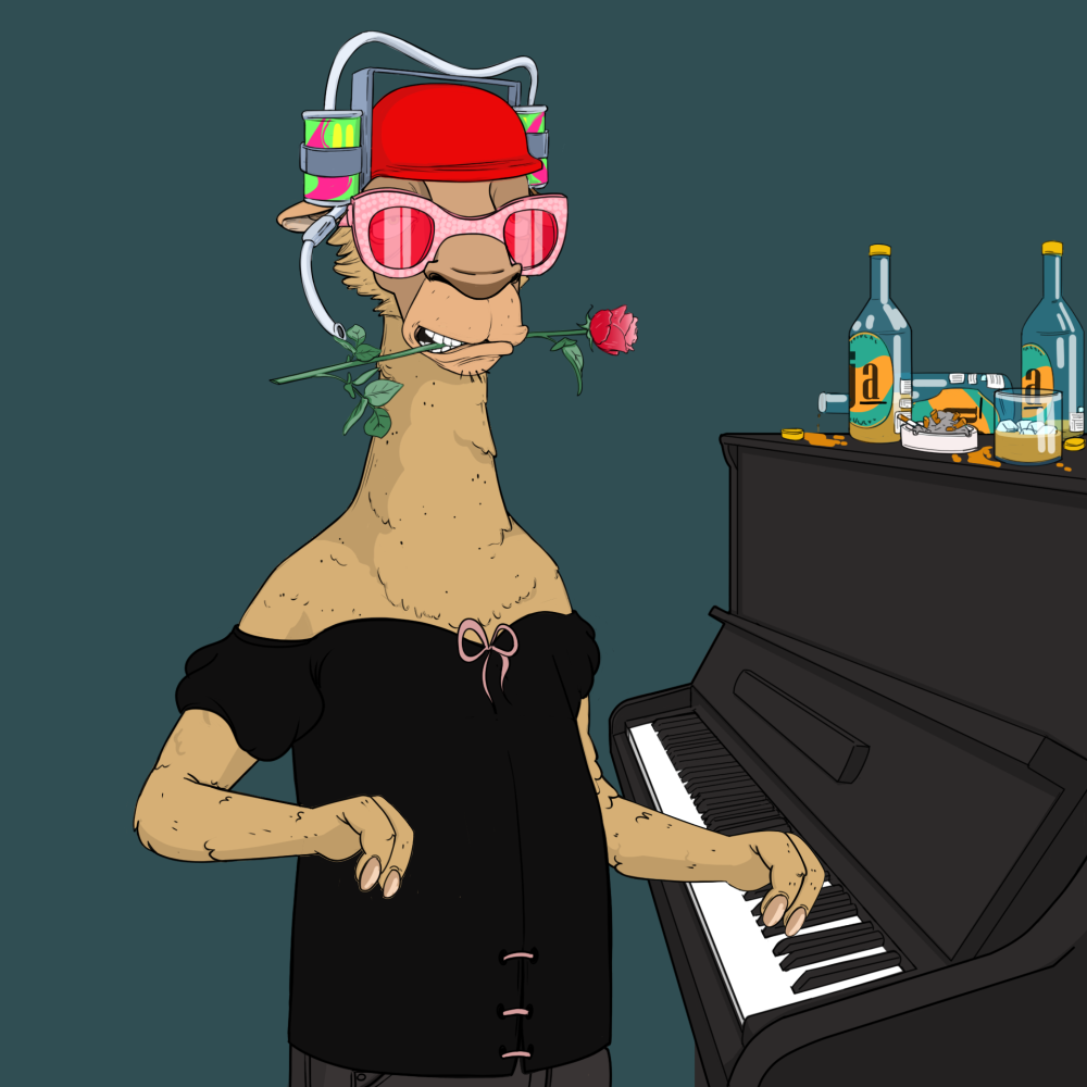Jammin' Alpacas #1108