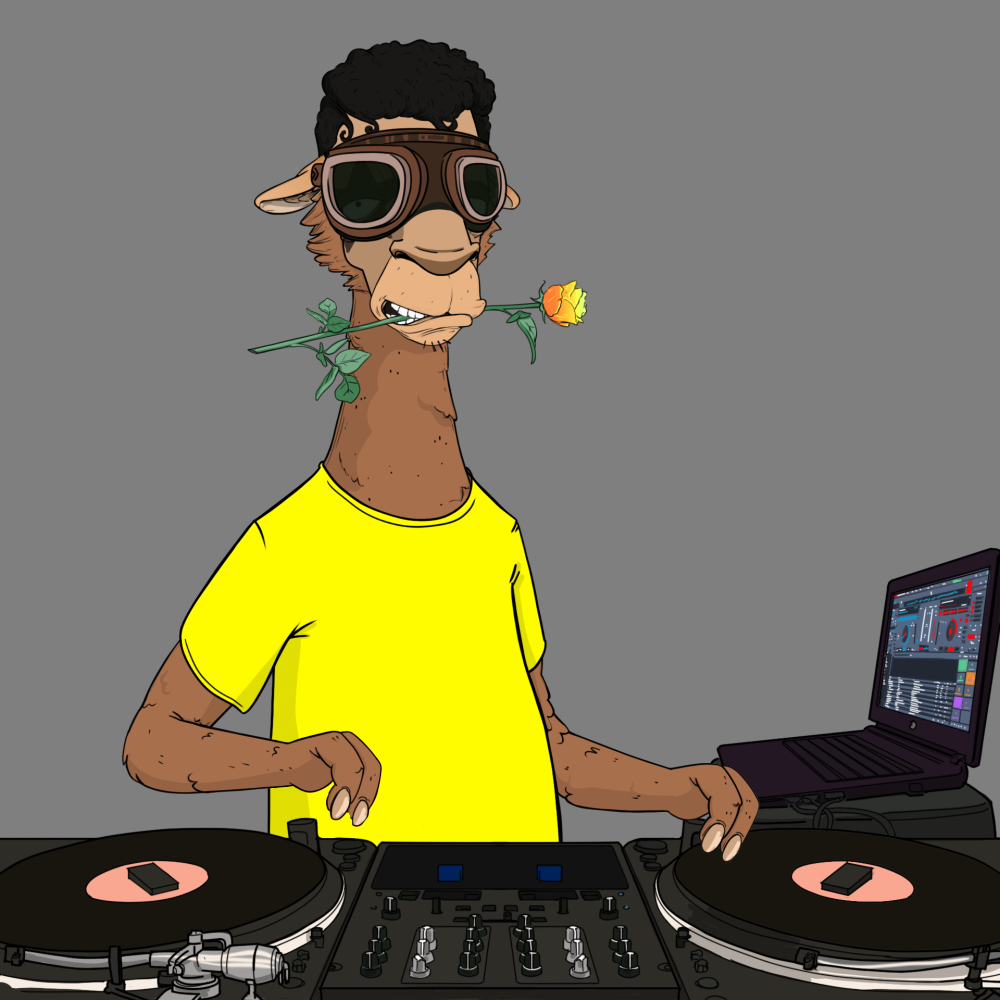 Jammin' Alpacas #1119