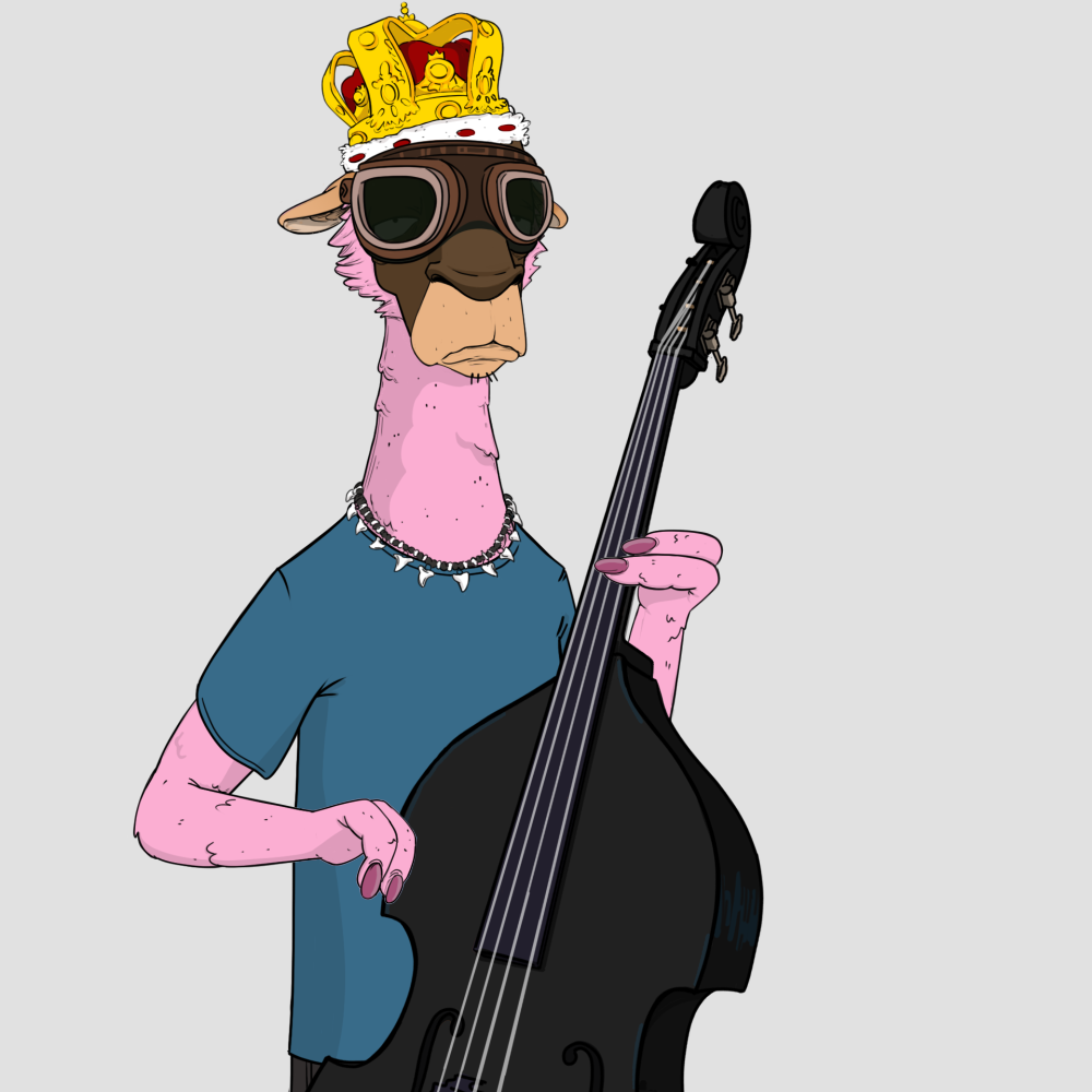 Jammin' Alpacas #114