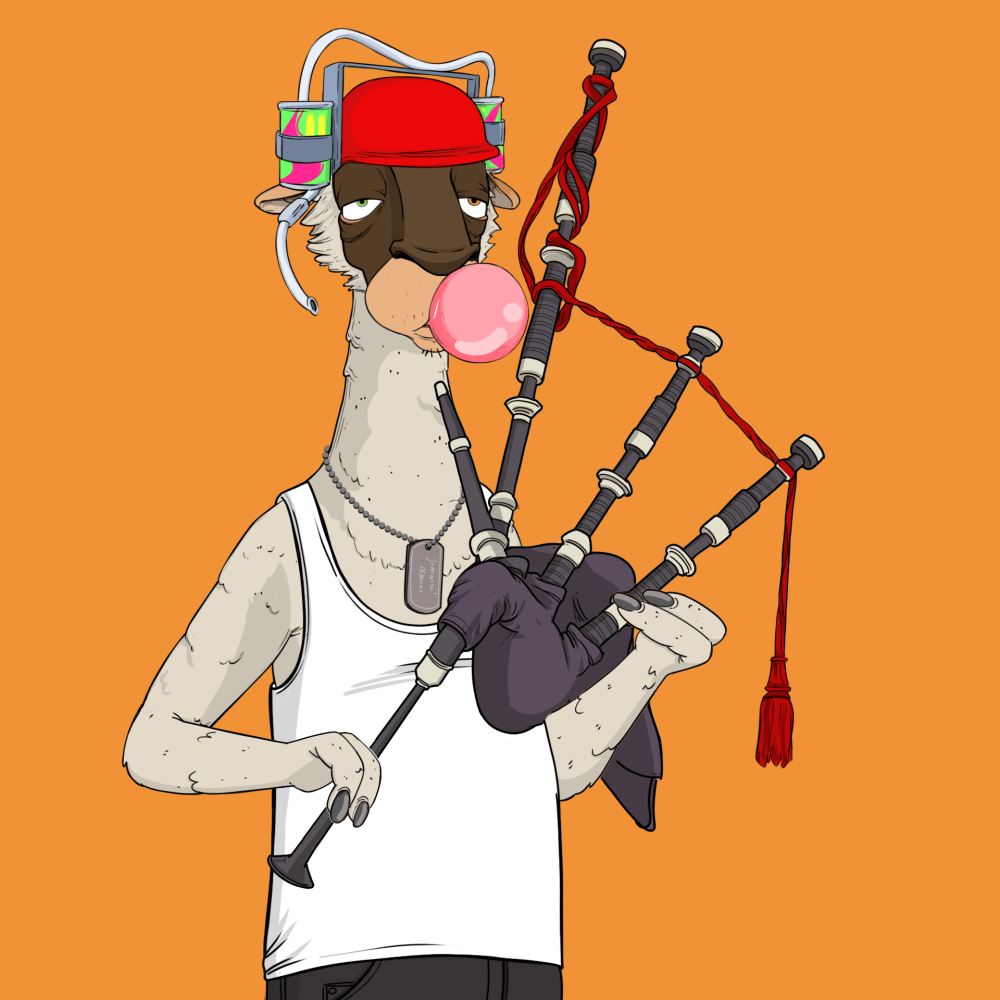 Jammin' Alpacas #1141