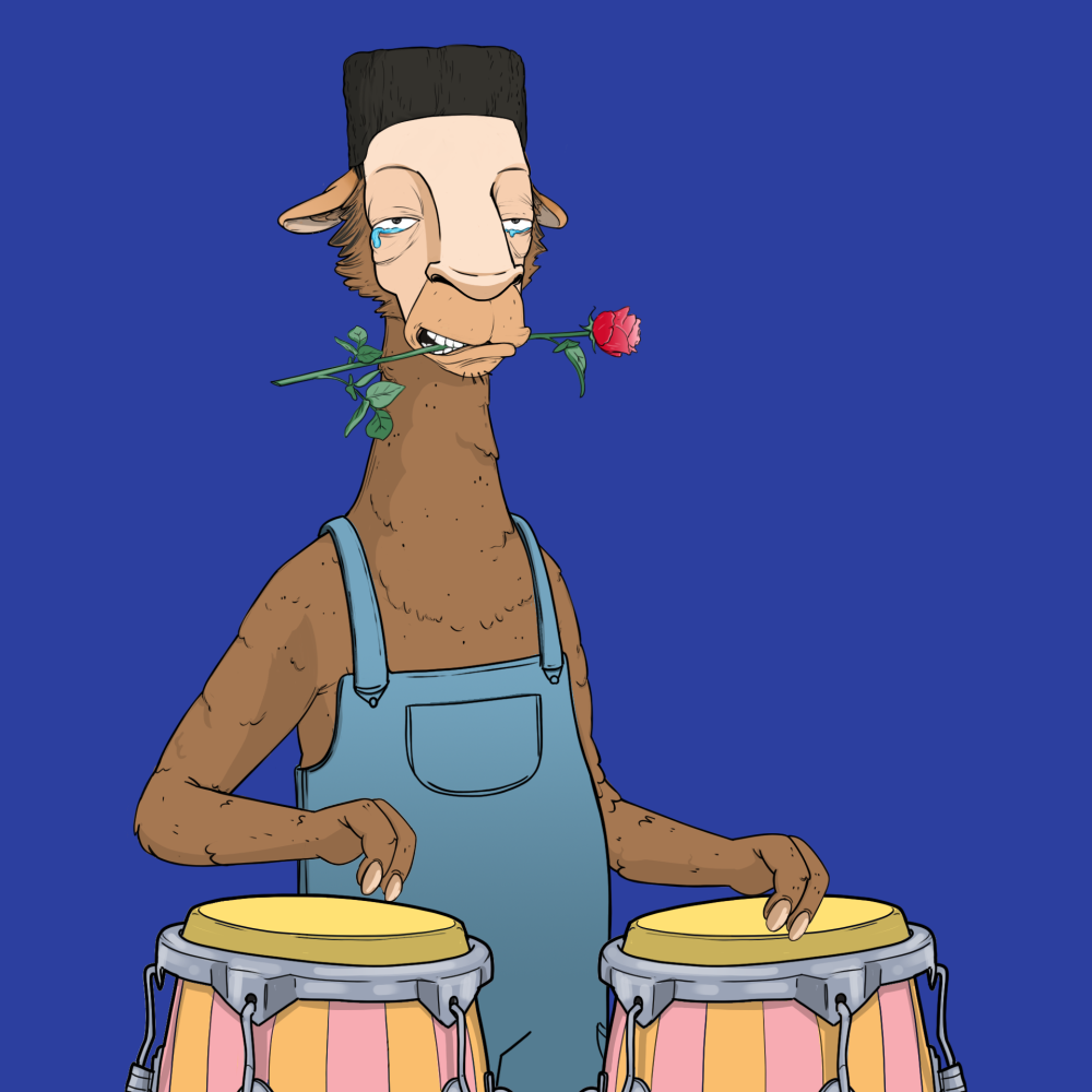 Jammin' Alpacas #1169