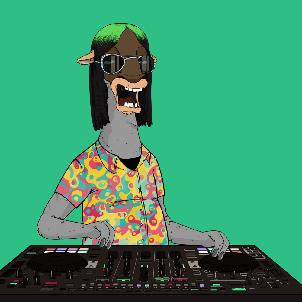 Jammin' Alpacas #1204