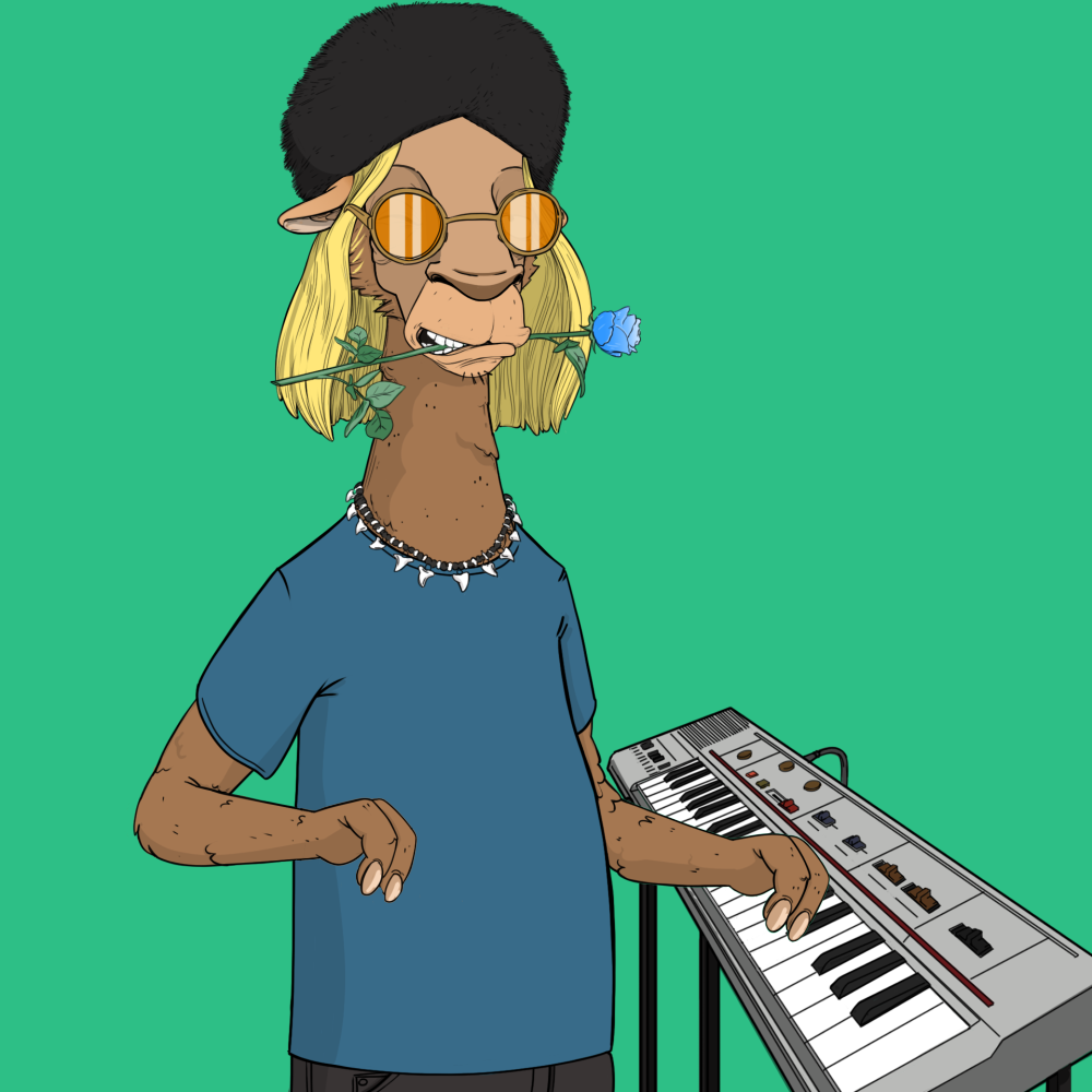Jammin' Alpacas #1282
