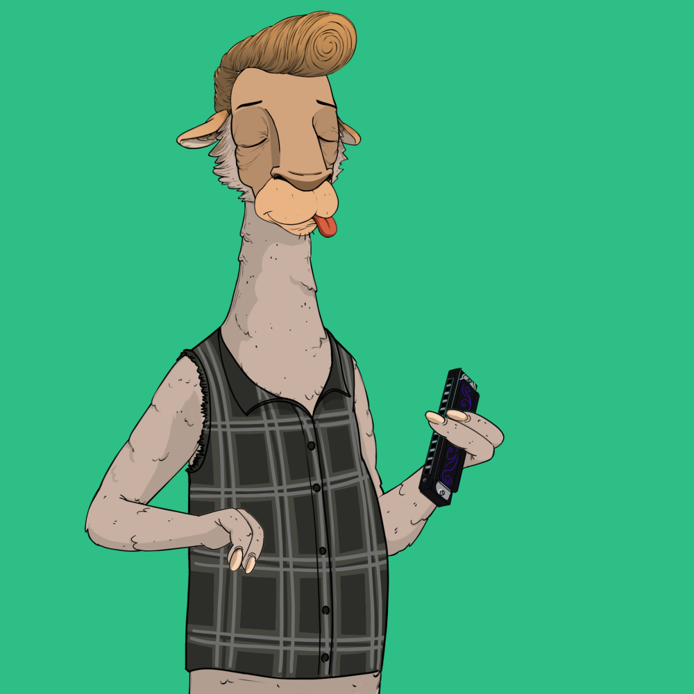 Jammin' Alpacas #1298