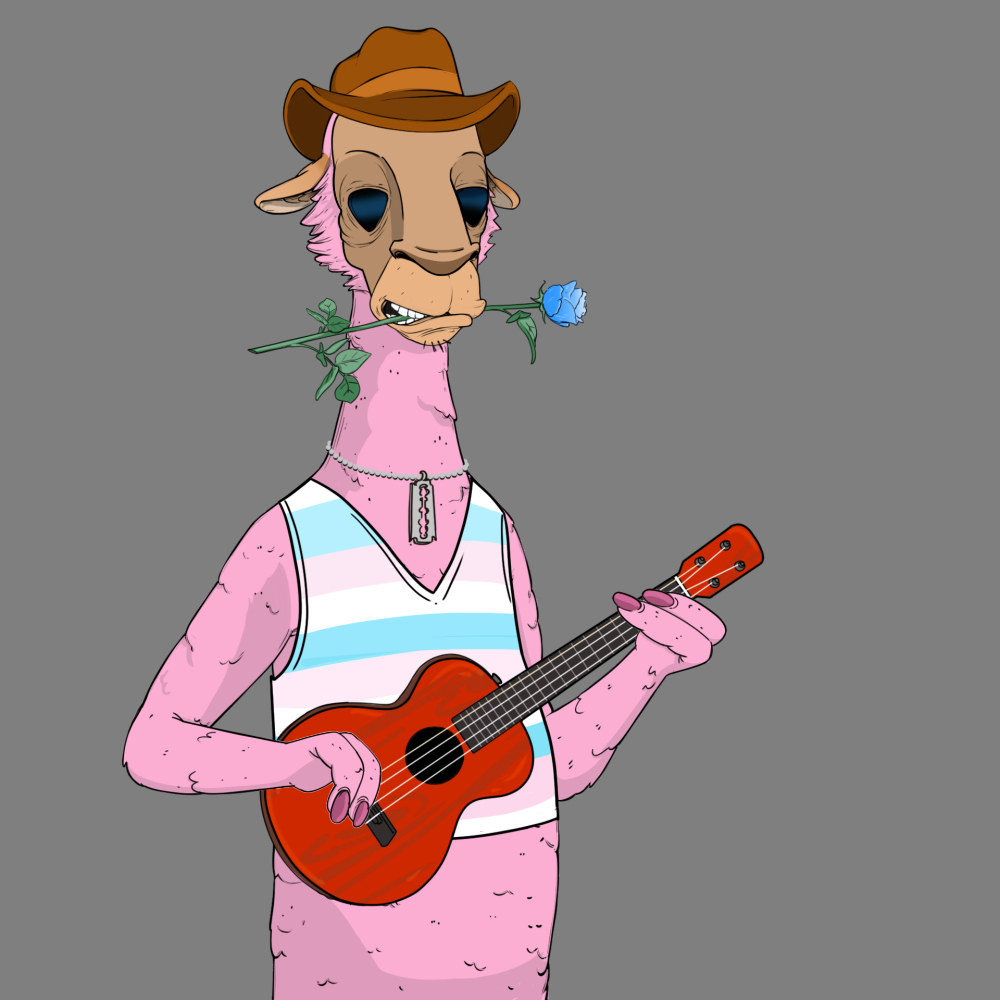 Jammin' Alpacas #1305