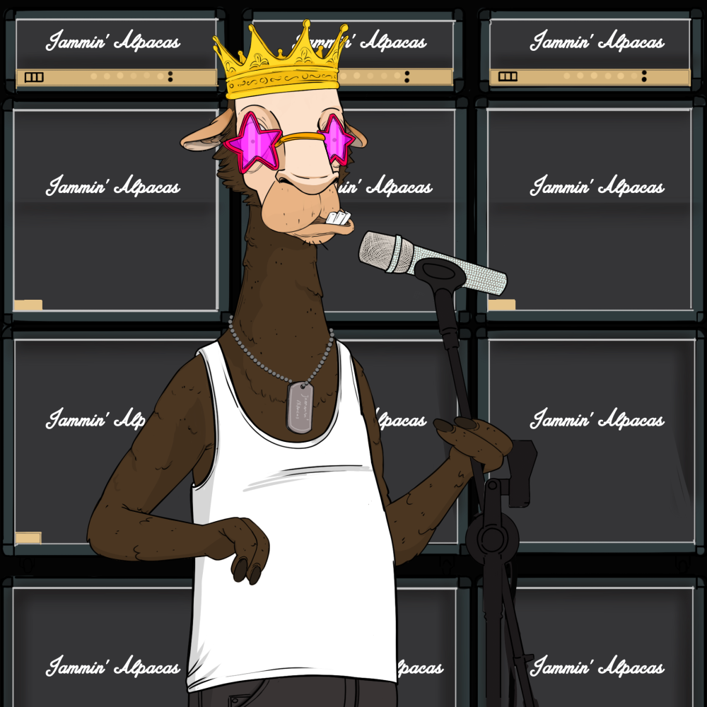 Jammin' Alpacas #1307