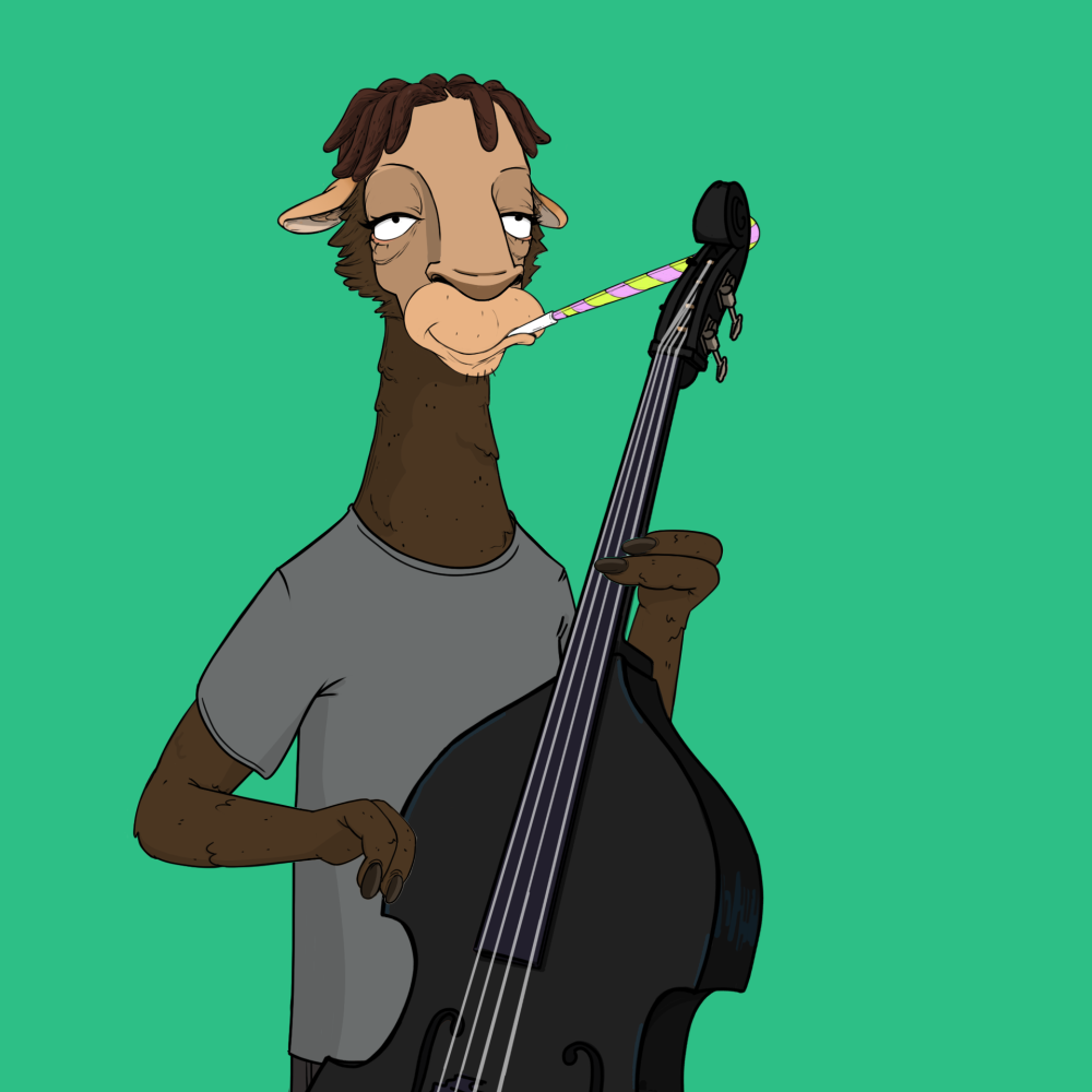 Jammin' Alpacas #1312