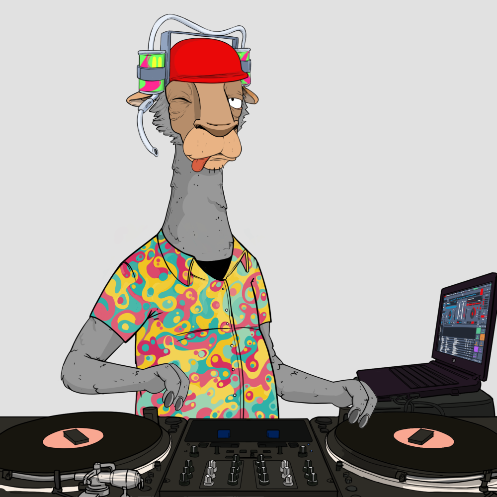 Jammin' Alpacas #1342