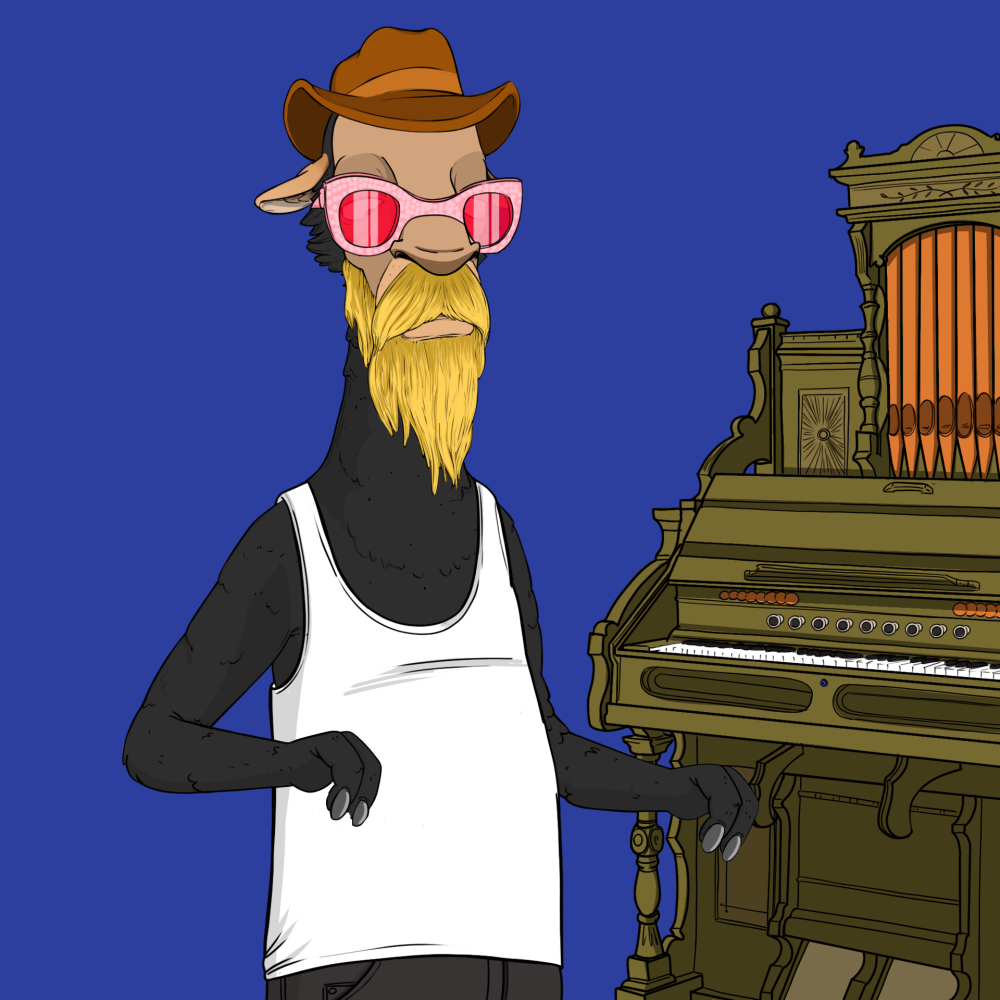 Jammin' Alpacas #1561