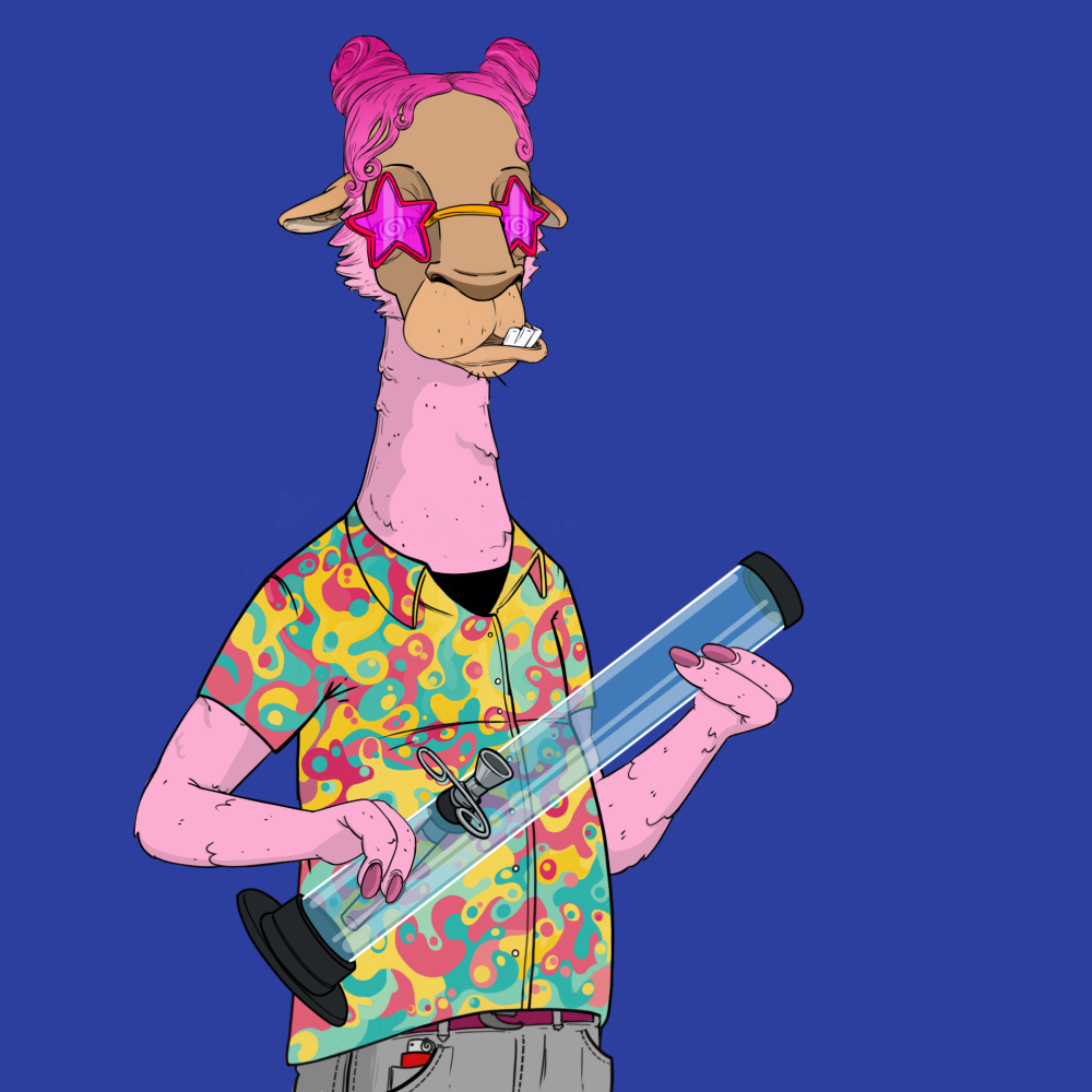 Jammin' Alpacas #1618
