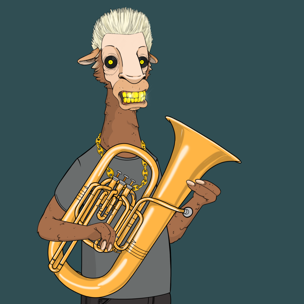 Jammin' Alpacas #1620