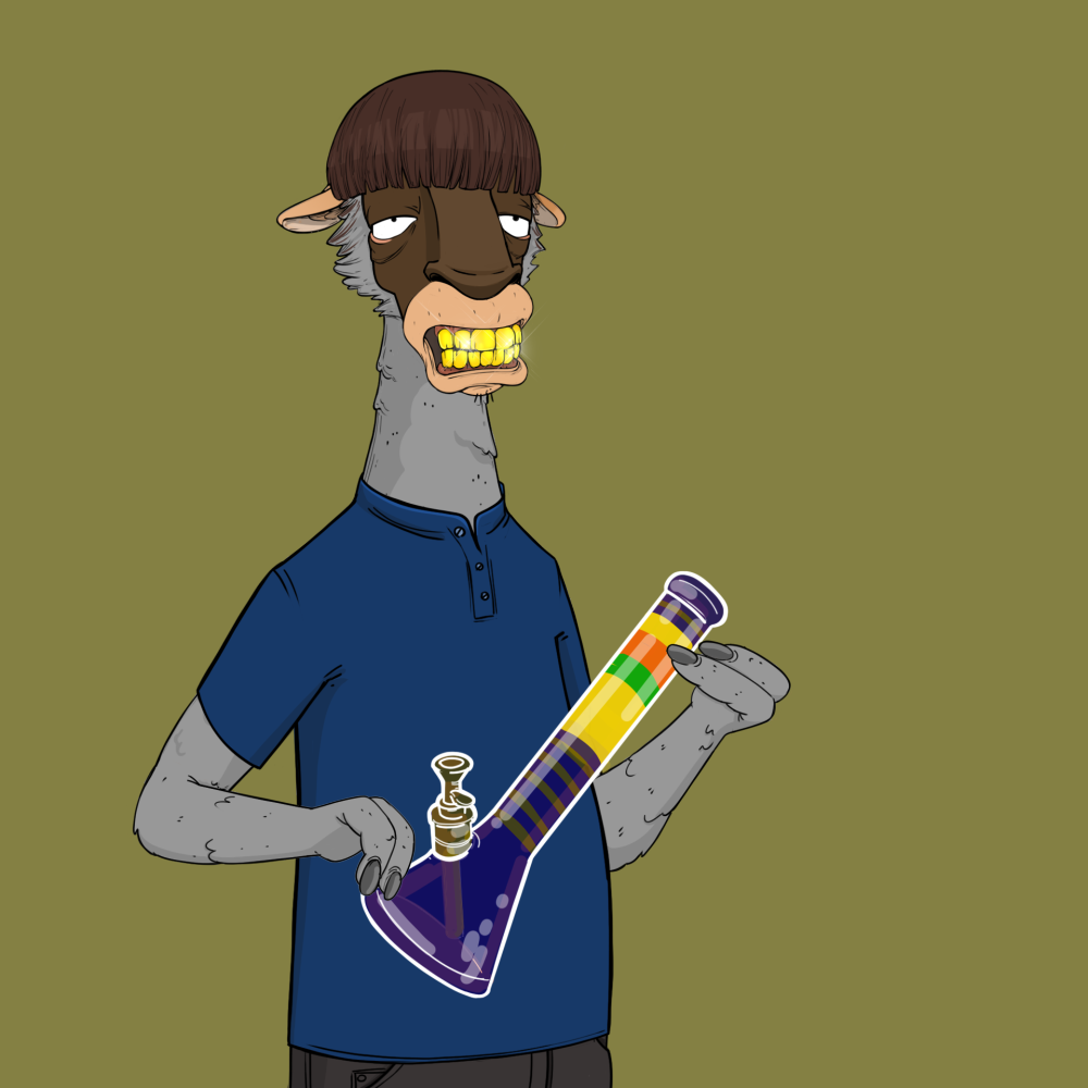 Jammin' Alpacas #1640