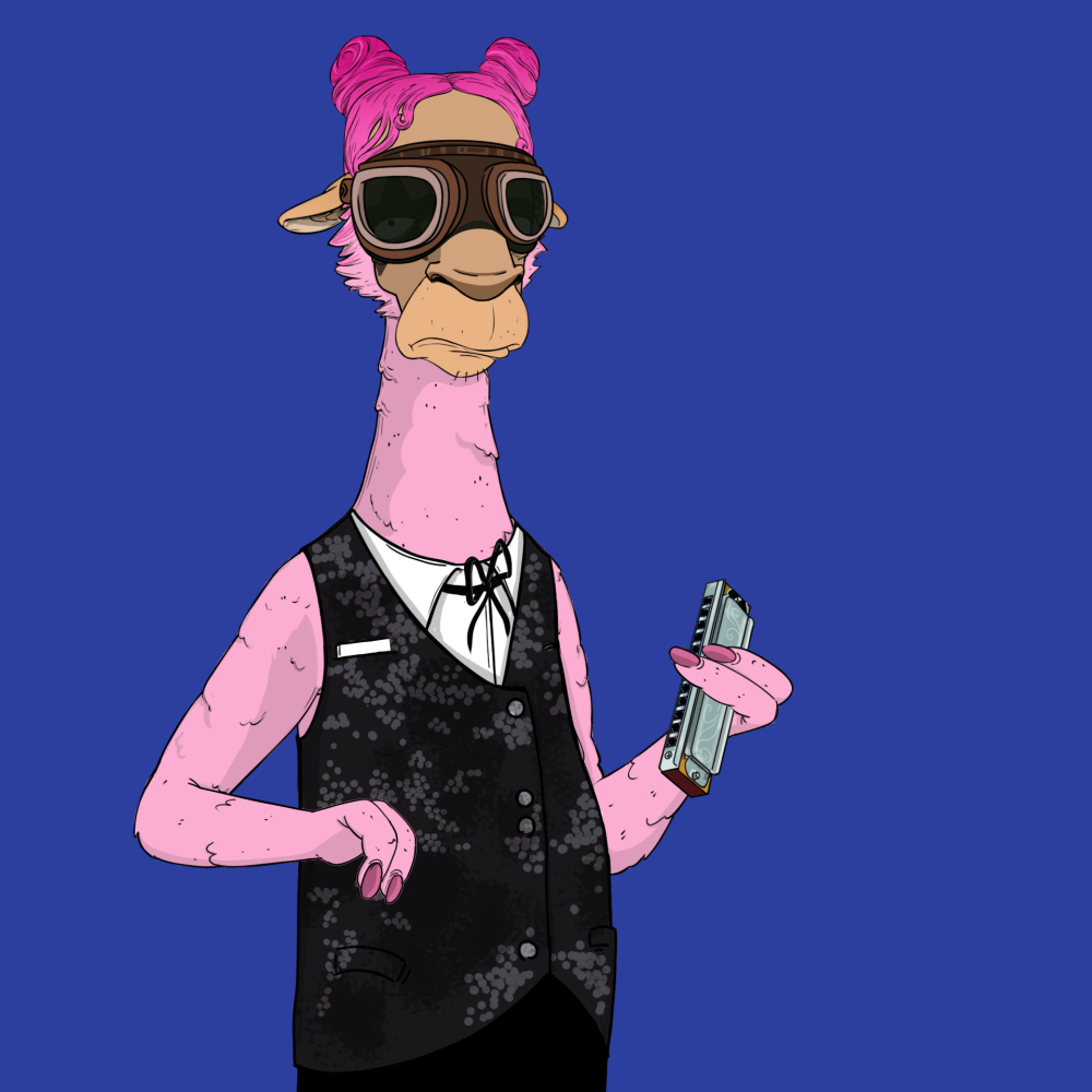 Jammin' Alpacas #1668