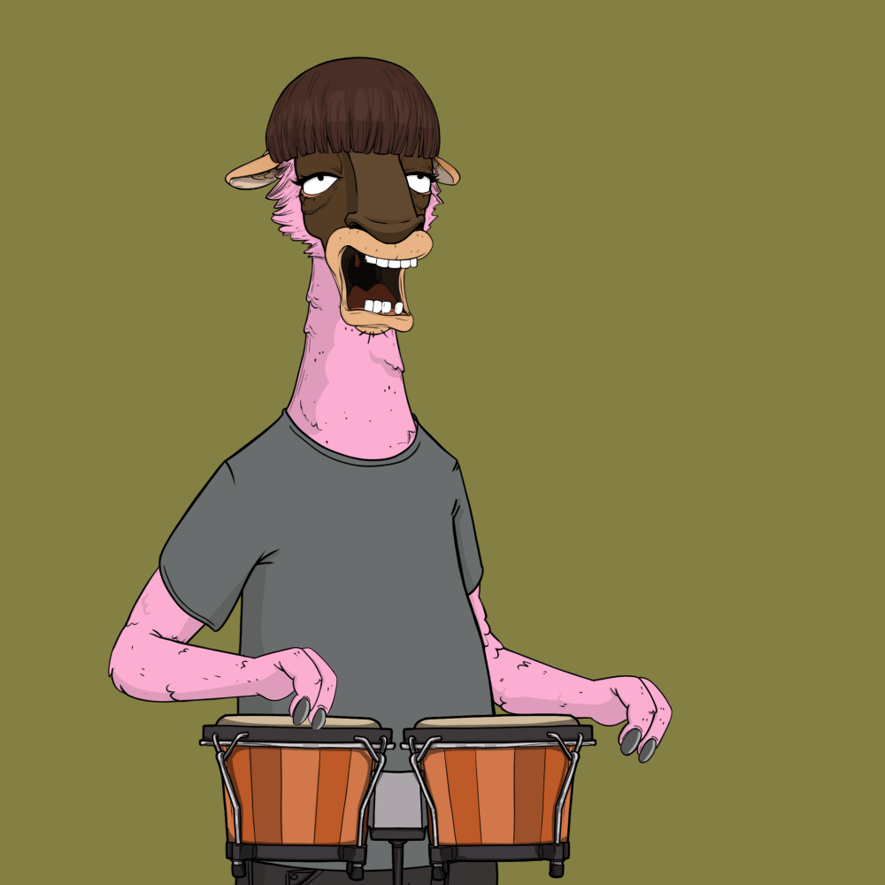 Jammin' Alpacas #1701