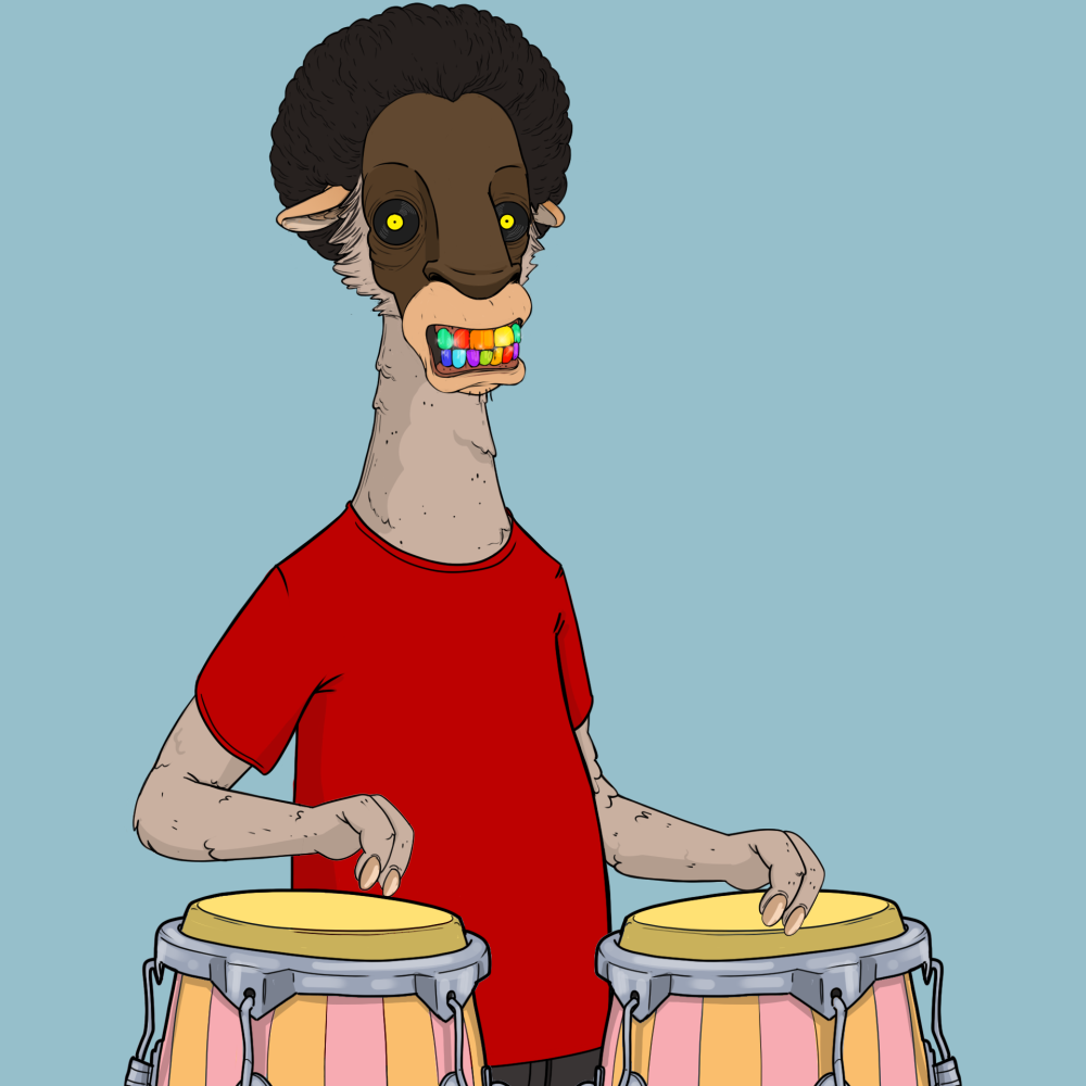 Jammin' Alpacas #1705