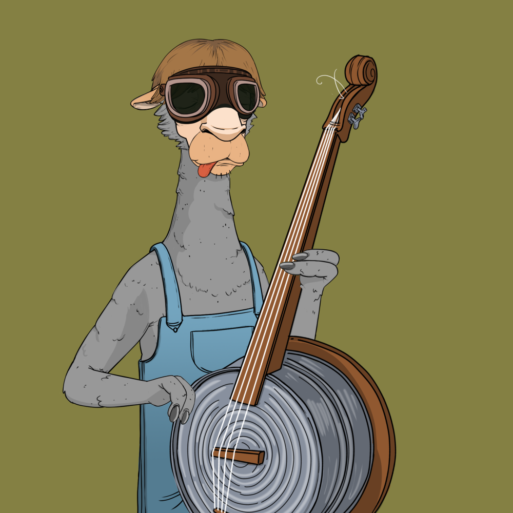 Jammin' Alpacas #1775