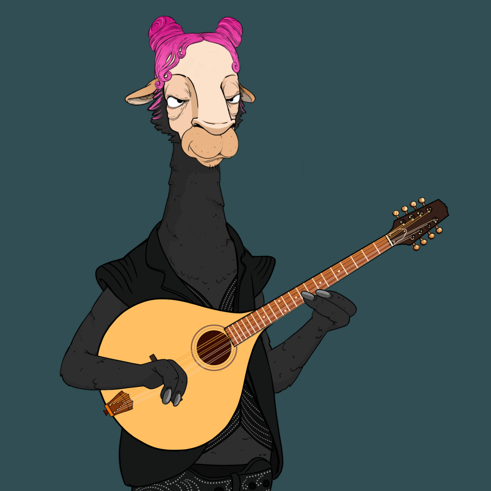 Jammin' Alpacas #1811