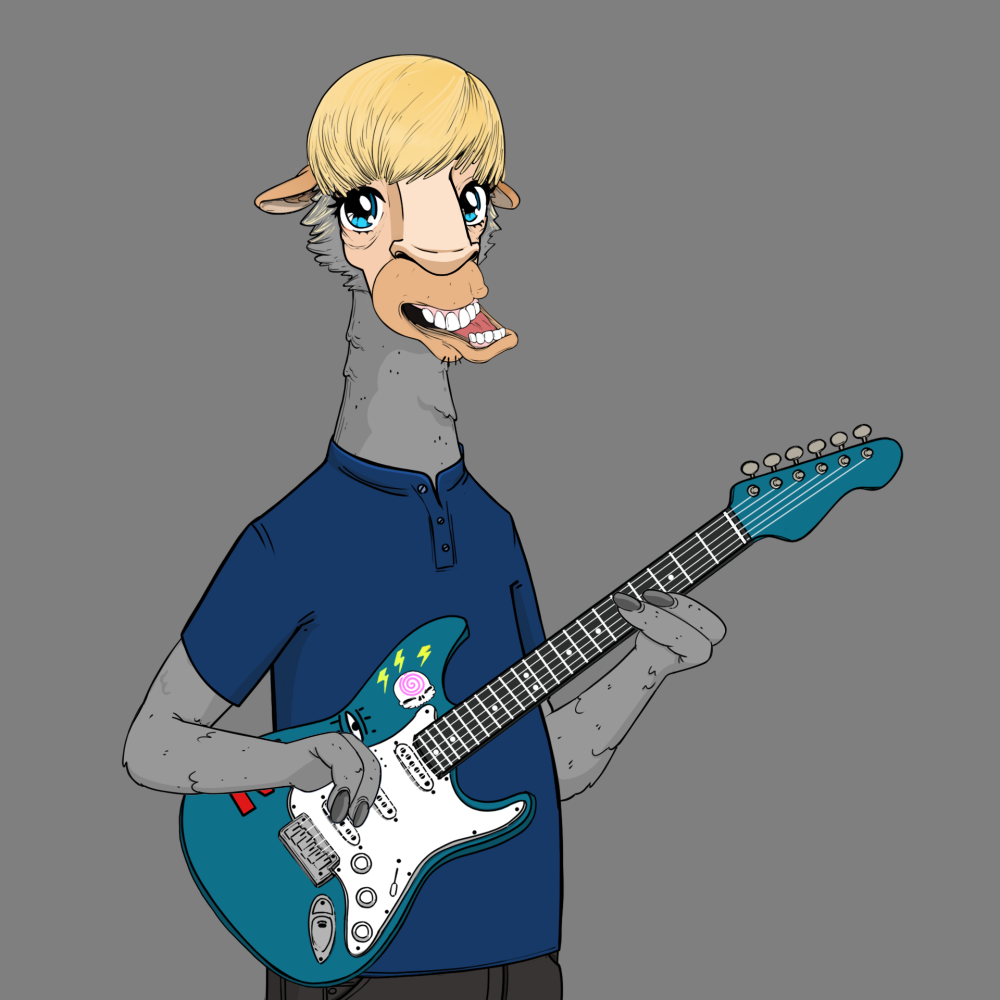 Jammin' Alpacas #1848