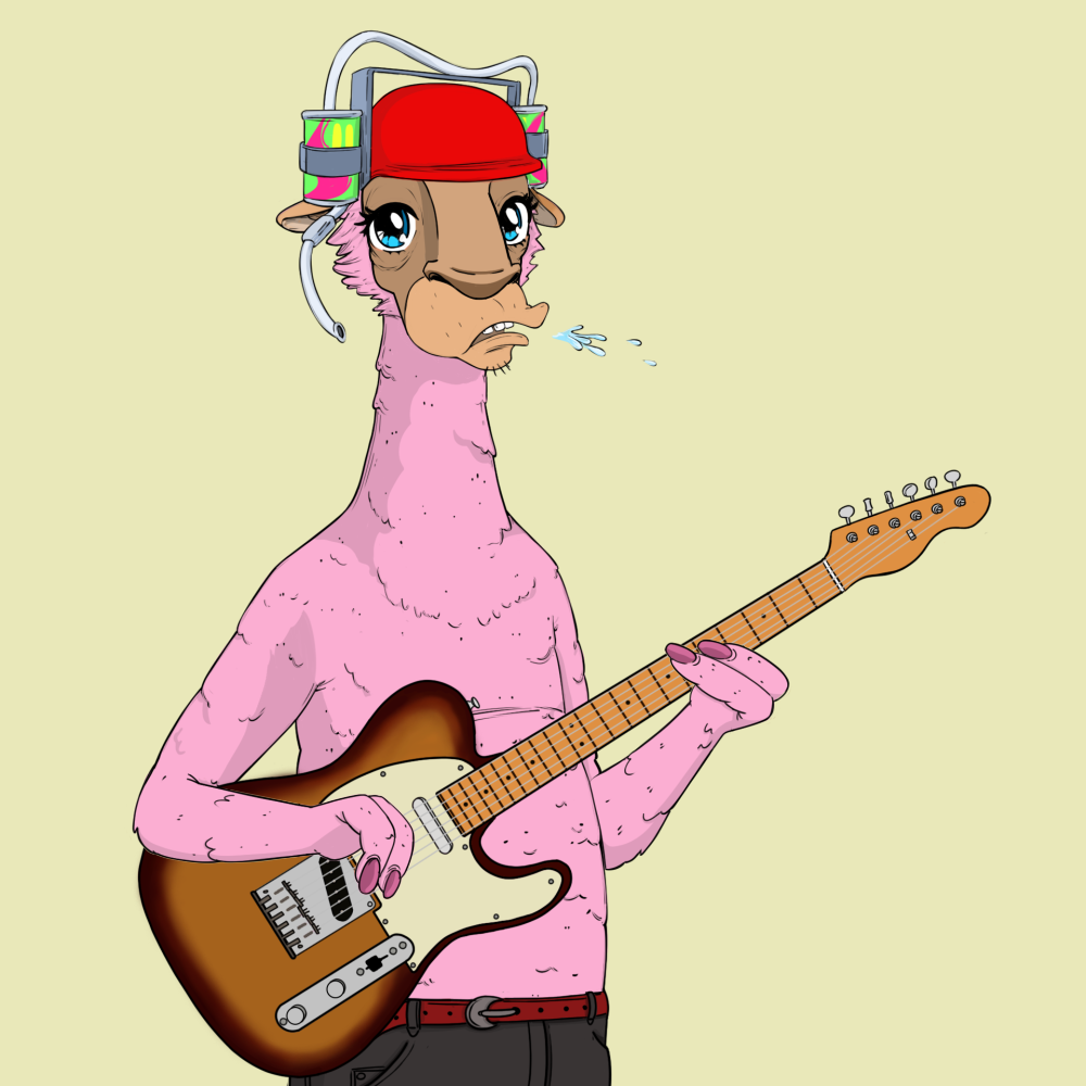 Jammin' Alpacas #1874