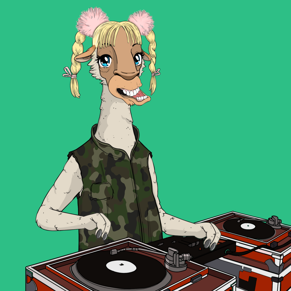 Jammin' Alpacas #1946