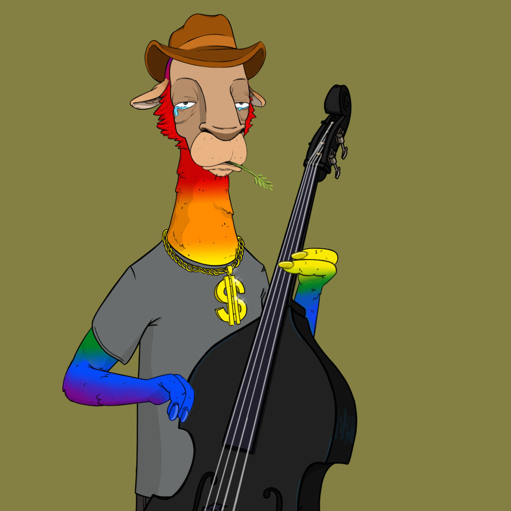 Jammin' Alpacas #1951