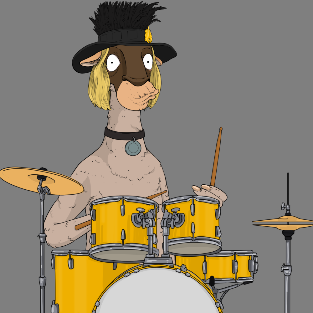 Jammin' Alpacas