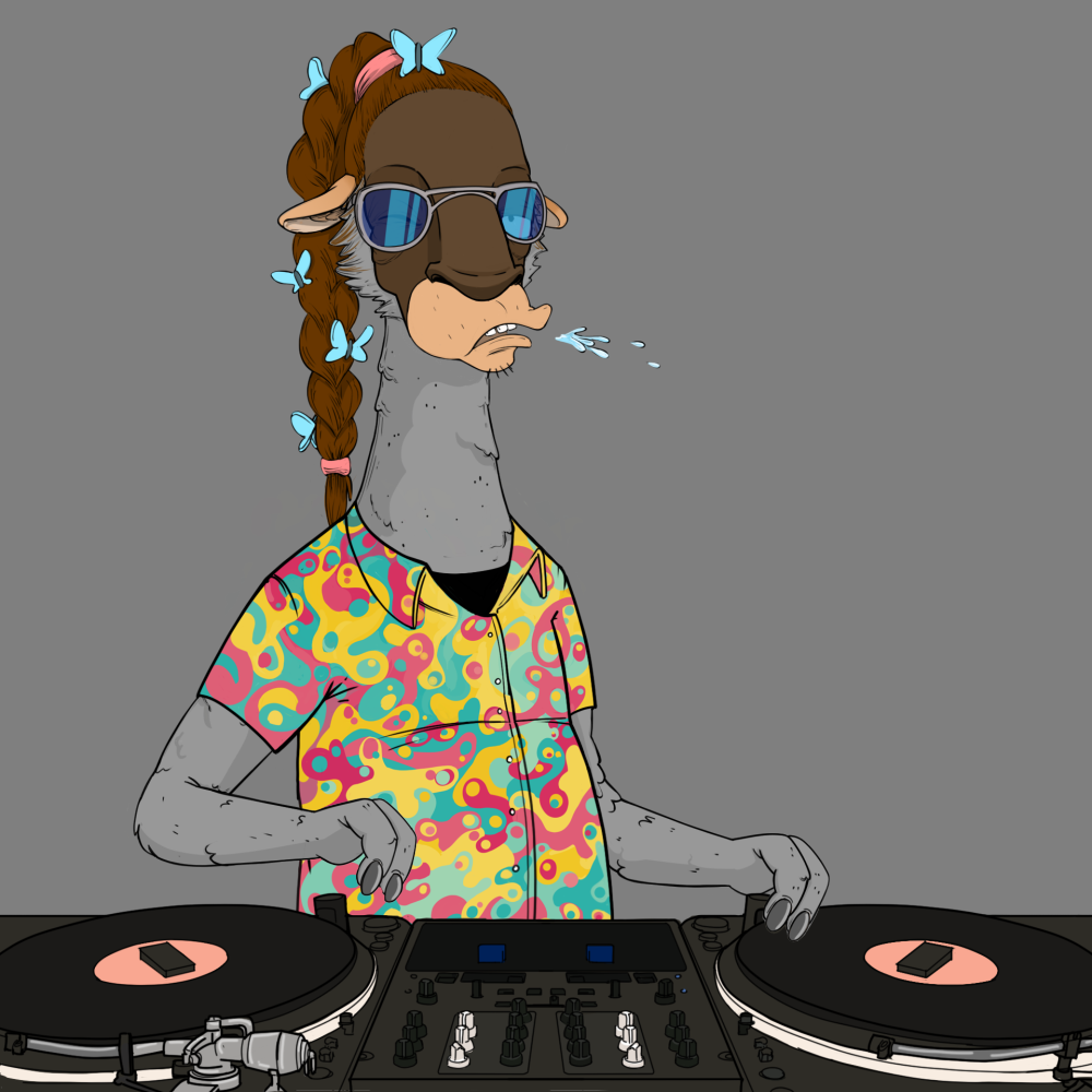 Jammin' Alpacas #2080