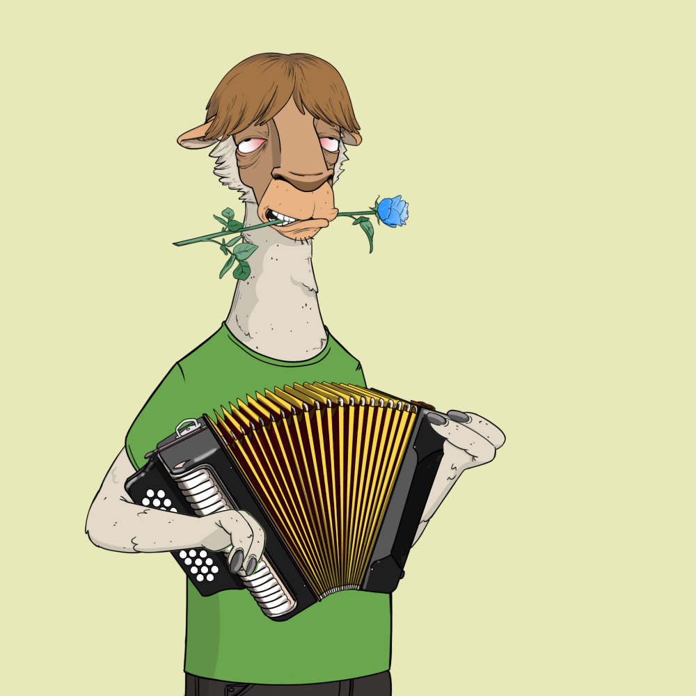 Jammin' Alpacas #2096