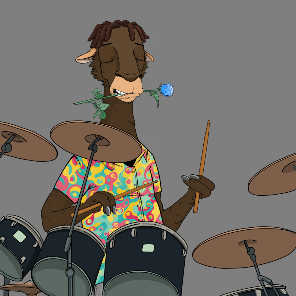 Jammin' Alpacas #2219