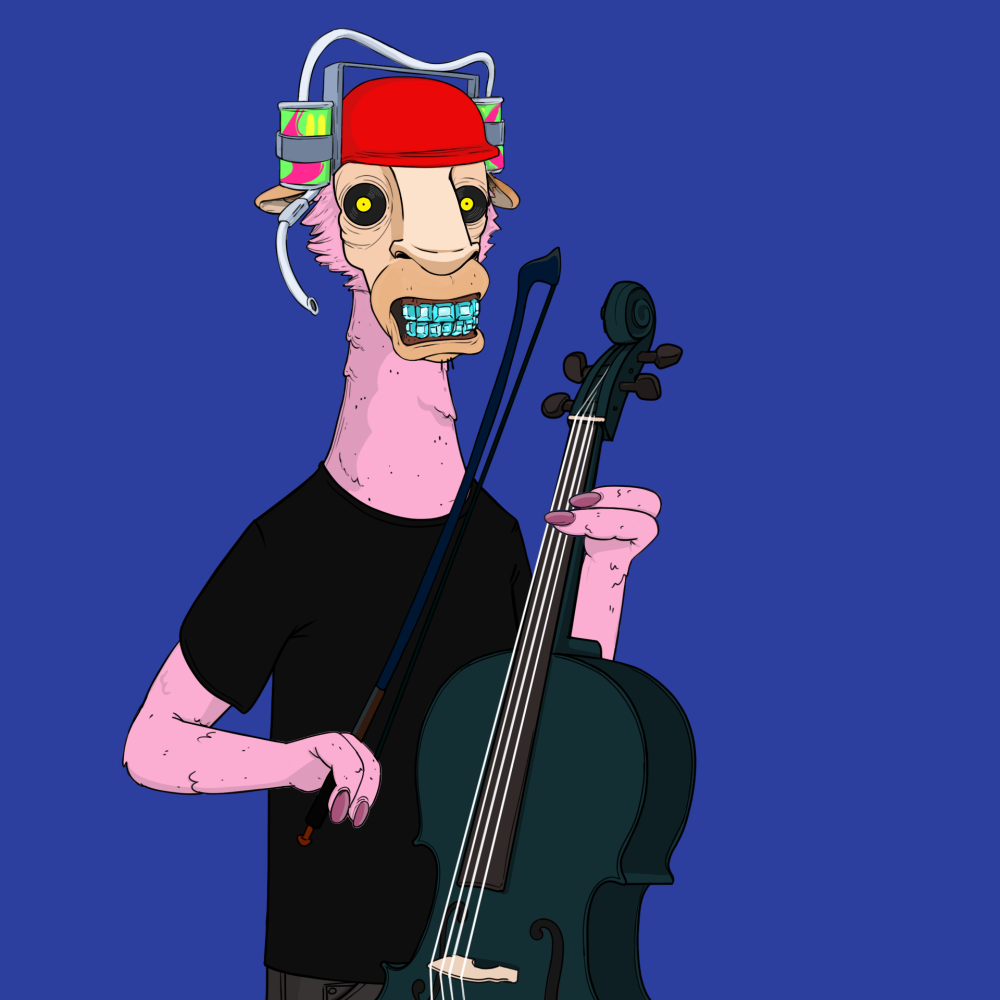 Jammin' Alpacas #224