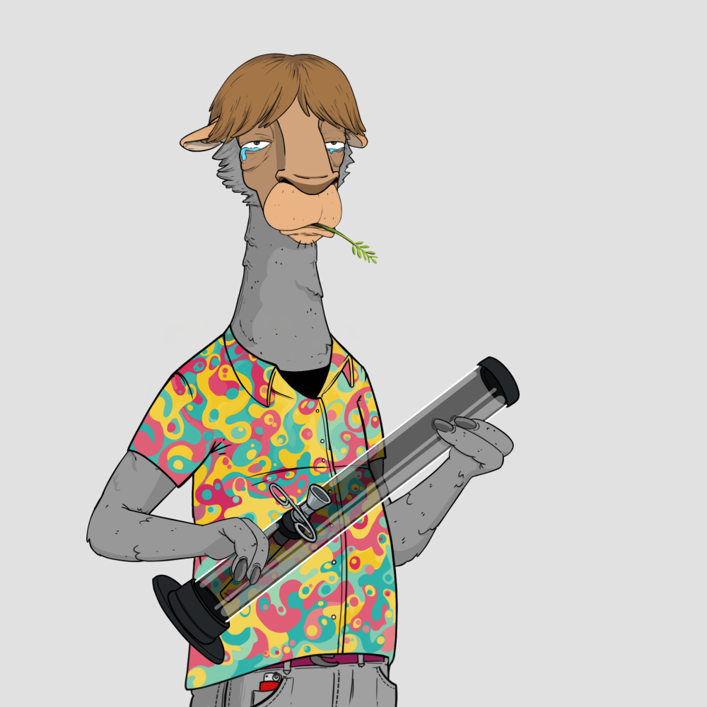 Jammin' Alpacas #2245