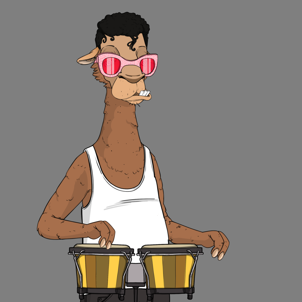 Jammin' Alpacas #2287