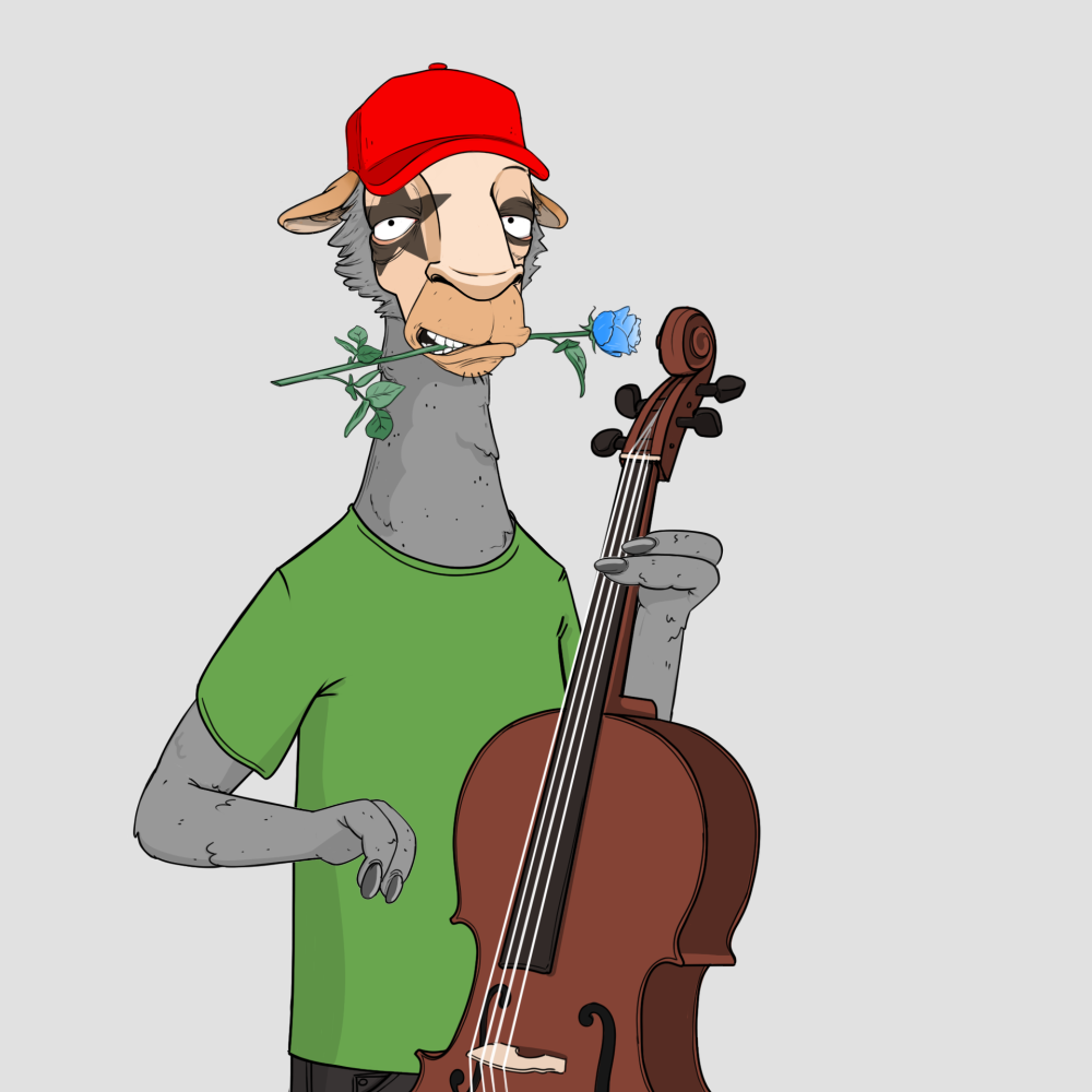 Jammin' Alpacas #2320