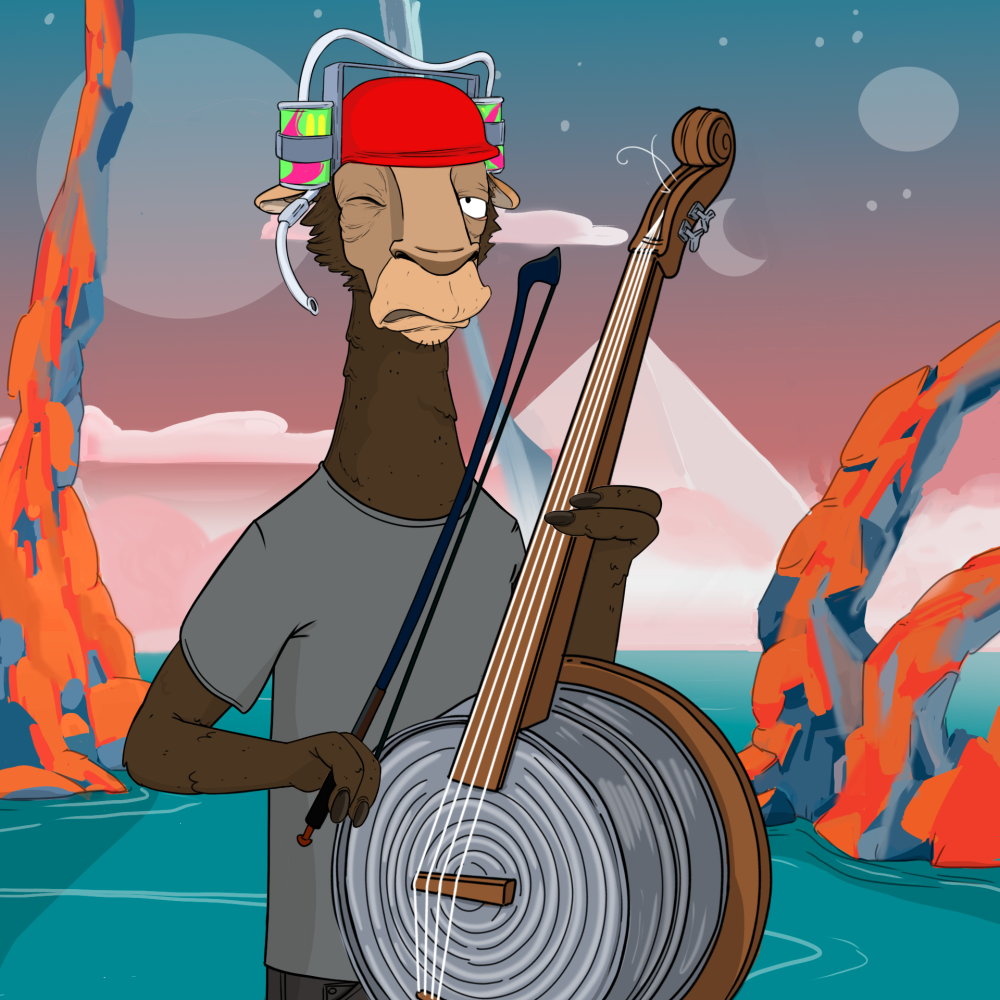 Jammin' Alpacas #2344