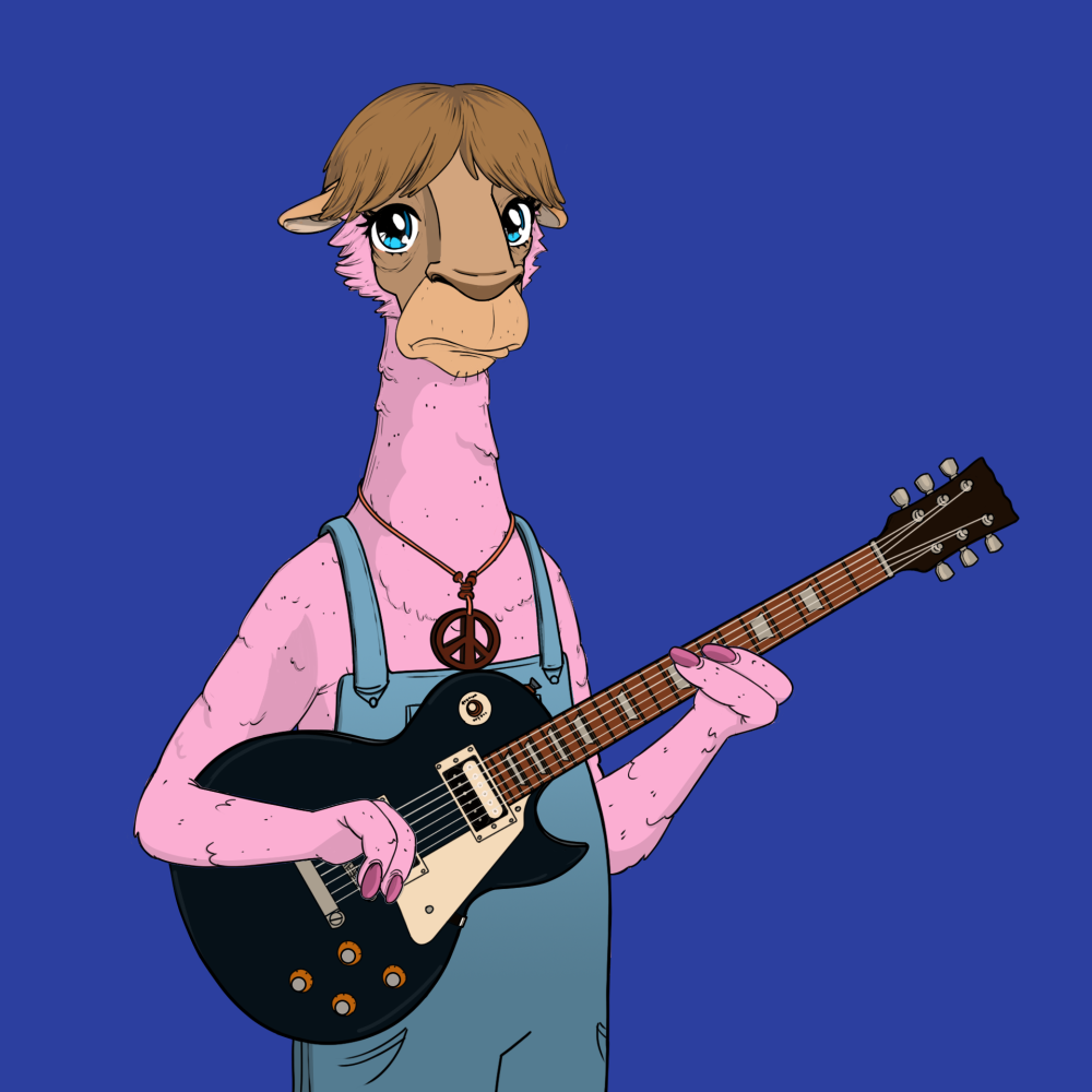 Jammin' Alpacas #2363