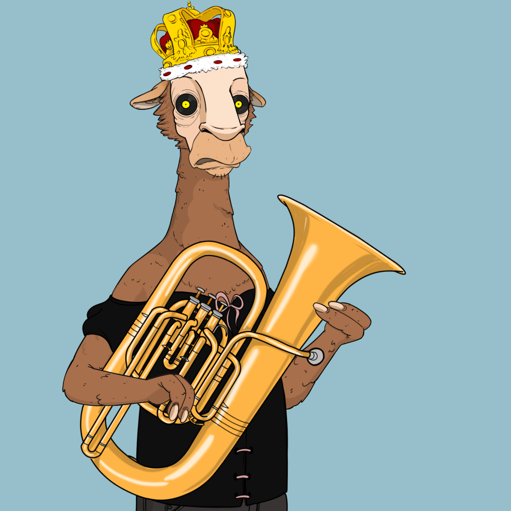 Jammin' Alpacas #2411