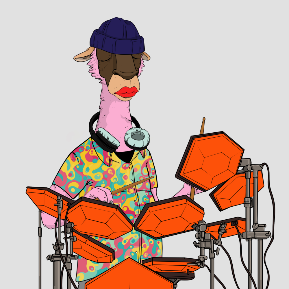 Jammin' Alpacas #2476