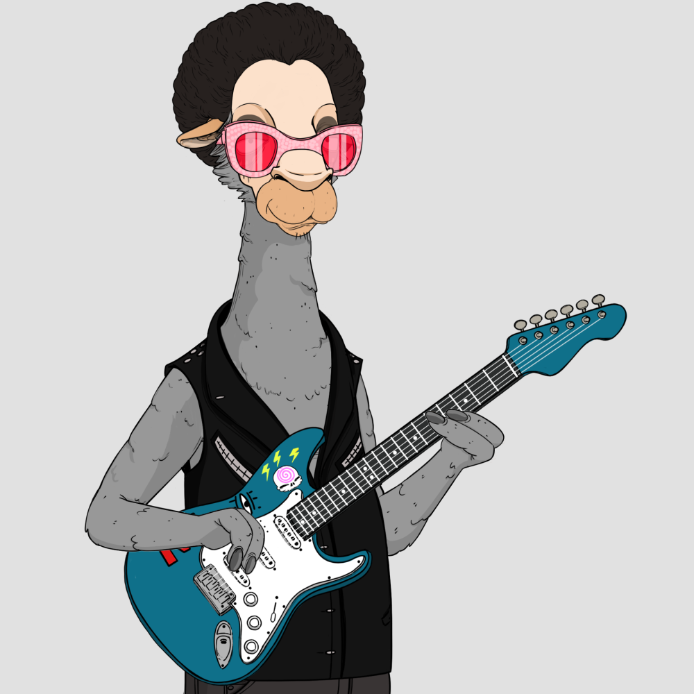 Jammin' Alpacas #2488