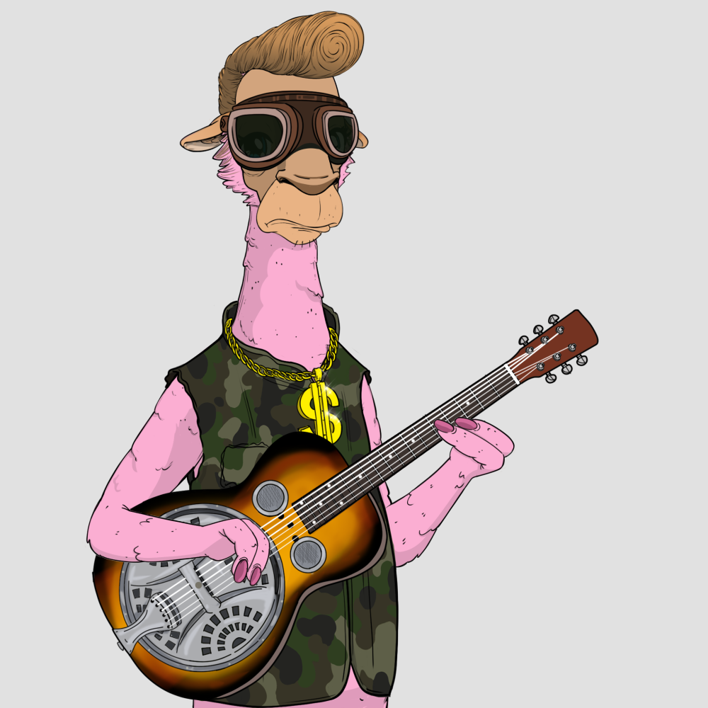 Jammin' Alpacas #2550