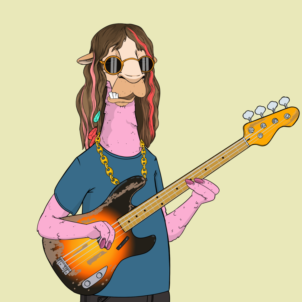 Jammin' Alpacas #2569