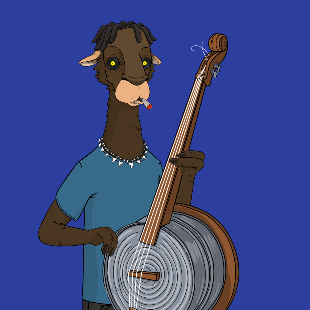 Jammin' Alpacas #2591