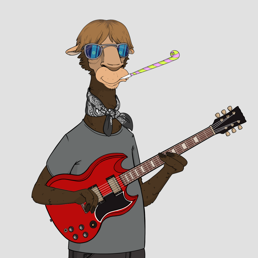 Jammin' Alpacas #2629