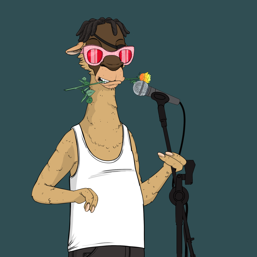 Jammin' Alpacas #2705