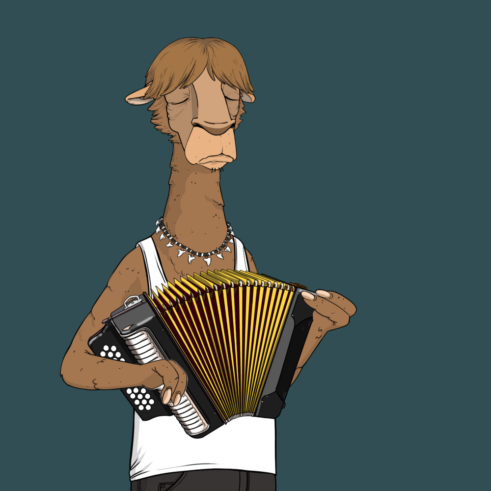 Jammin' Alpacas #2708