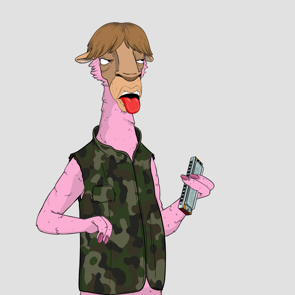 Jammin' Alpacas #2797