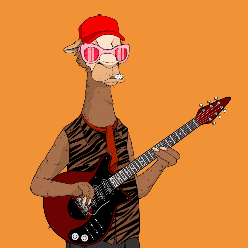 Jammin' Alpacas #2853