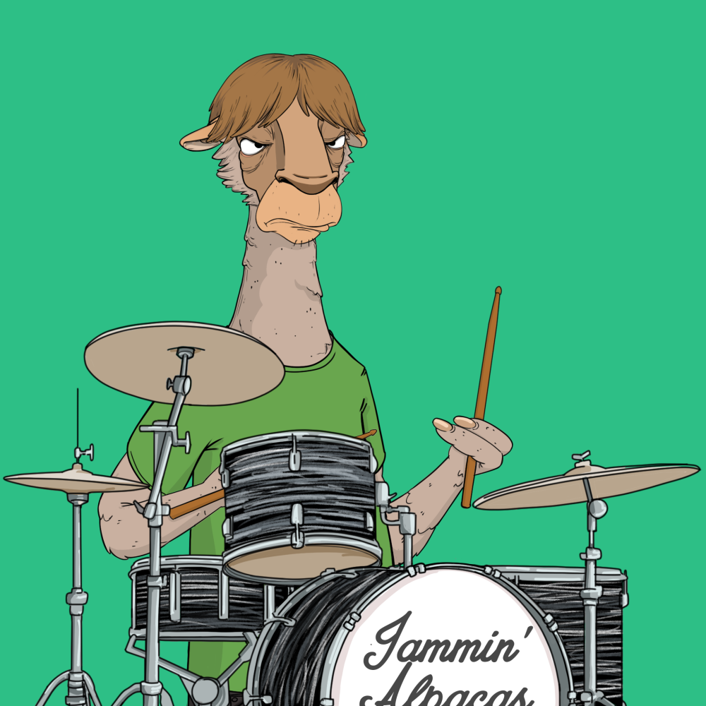 Jammin' Alpacas #3018