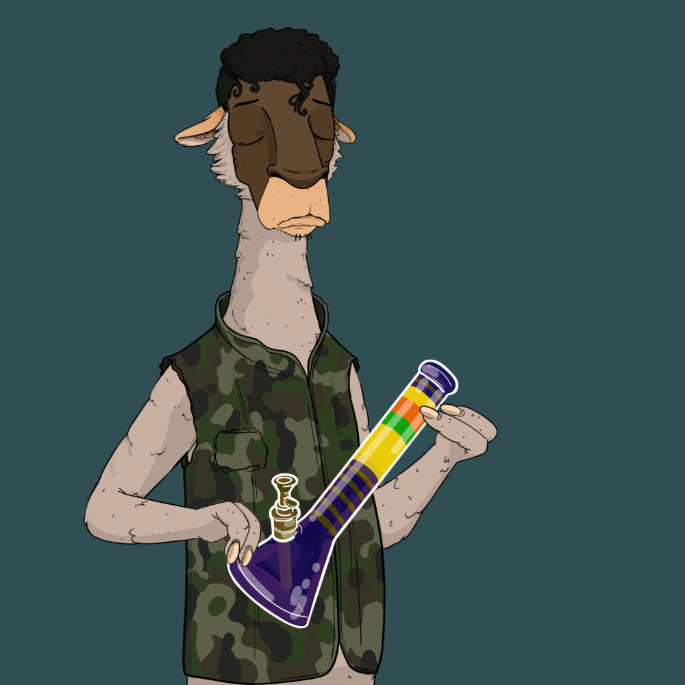 Jammin' Alpacas #3057
